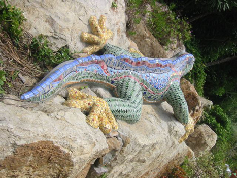 lizard